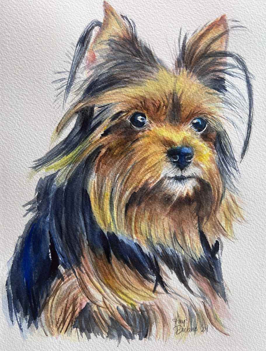 Whimsical by Amy DeVane 