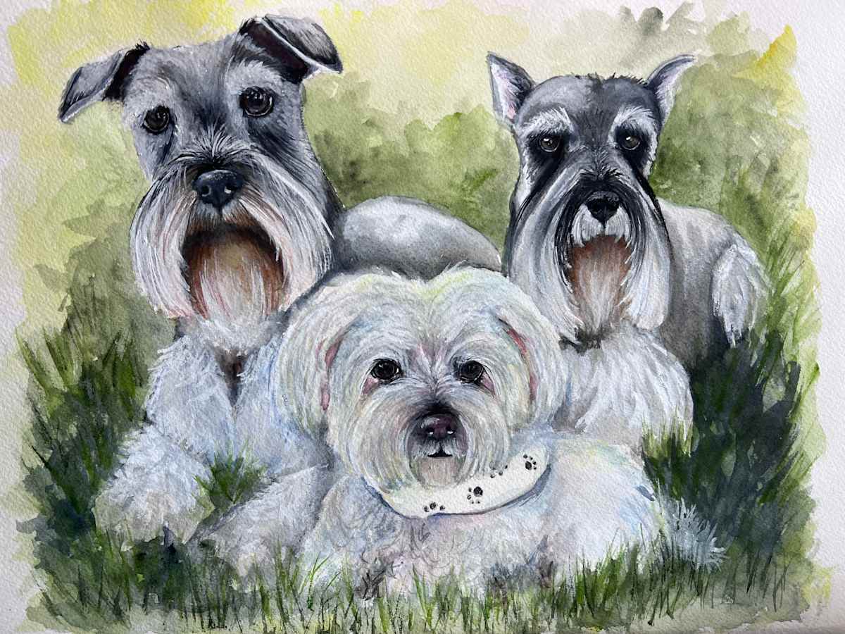 All 3 Babies by Amy DeVane 