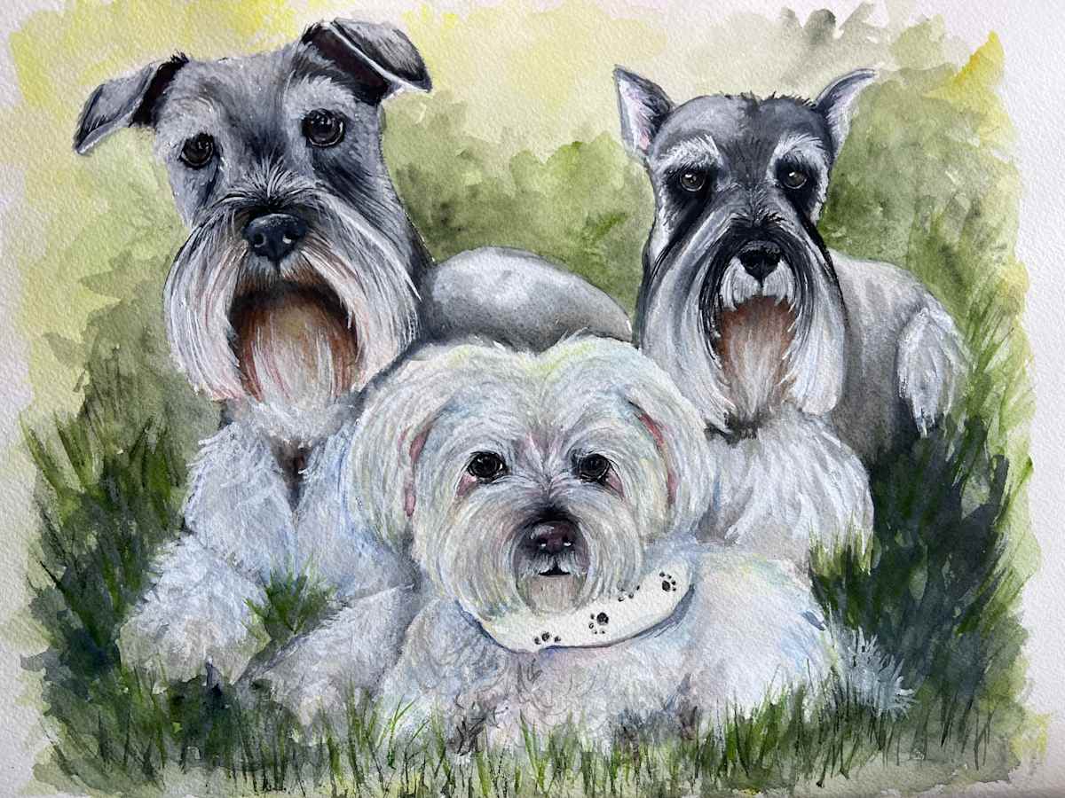 All 3 Babies by Amy DeVane, Image 1.