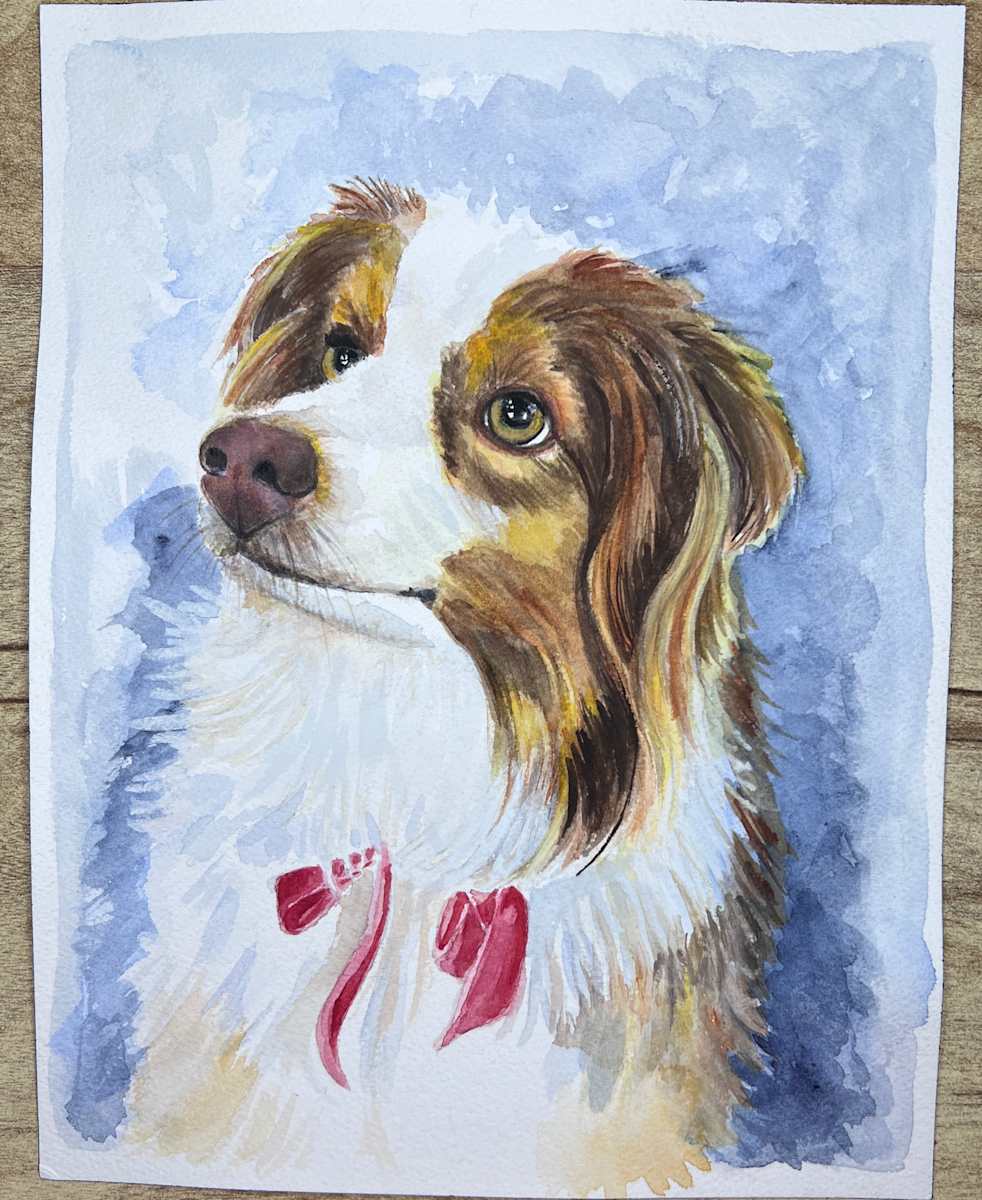 Collie Mix W/RIBBON by Amy DeVane 