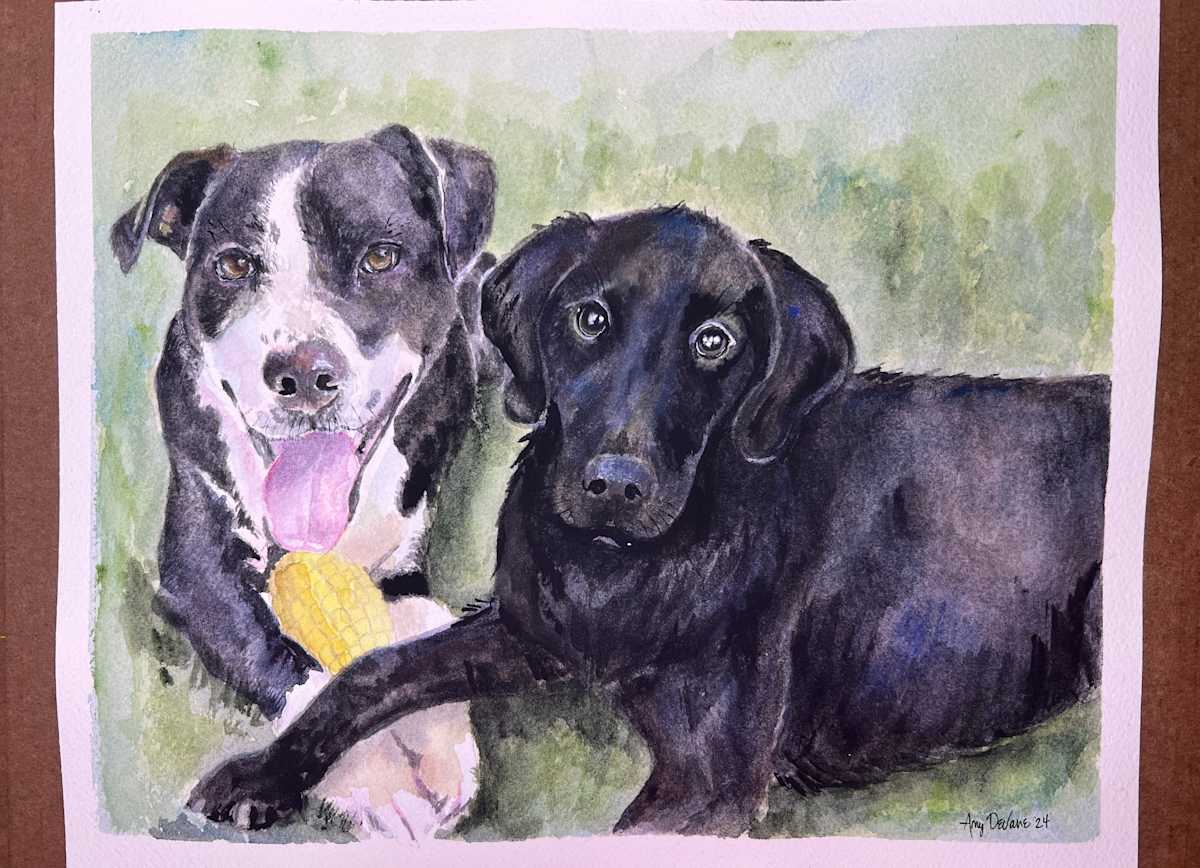 Let’s Play by Amy DeVane 