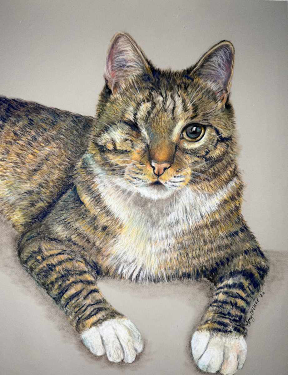 “One Eye” by Amy DeVane, Image 1.