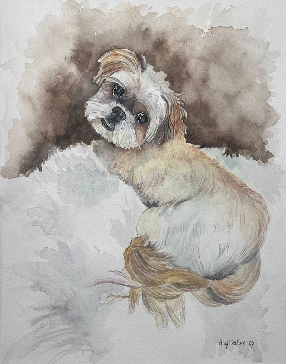 Claire’s Missy 🐾 by Amy DeVane 