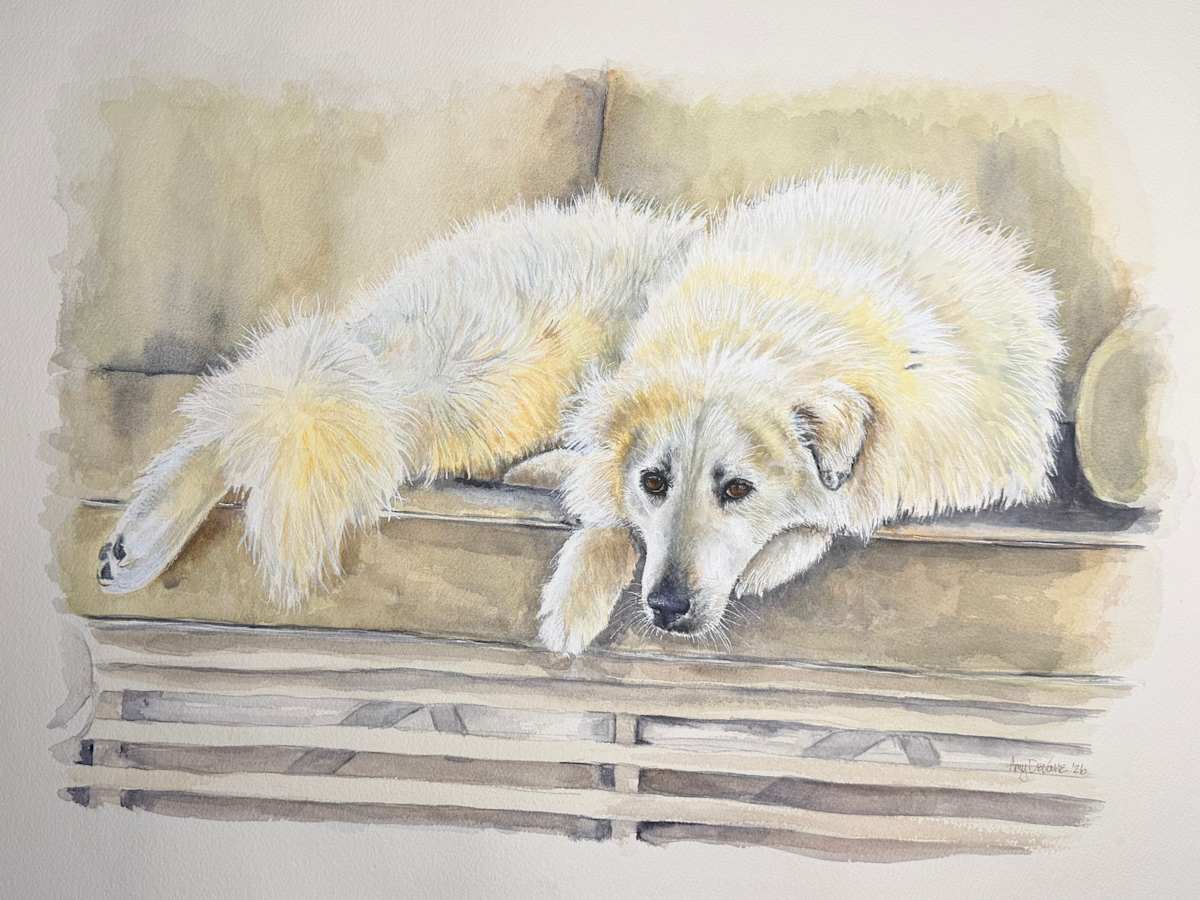 Belle by Amy DeVane, Image 1.