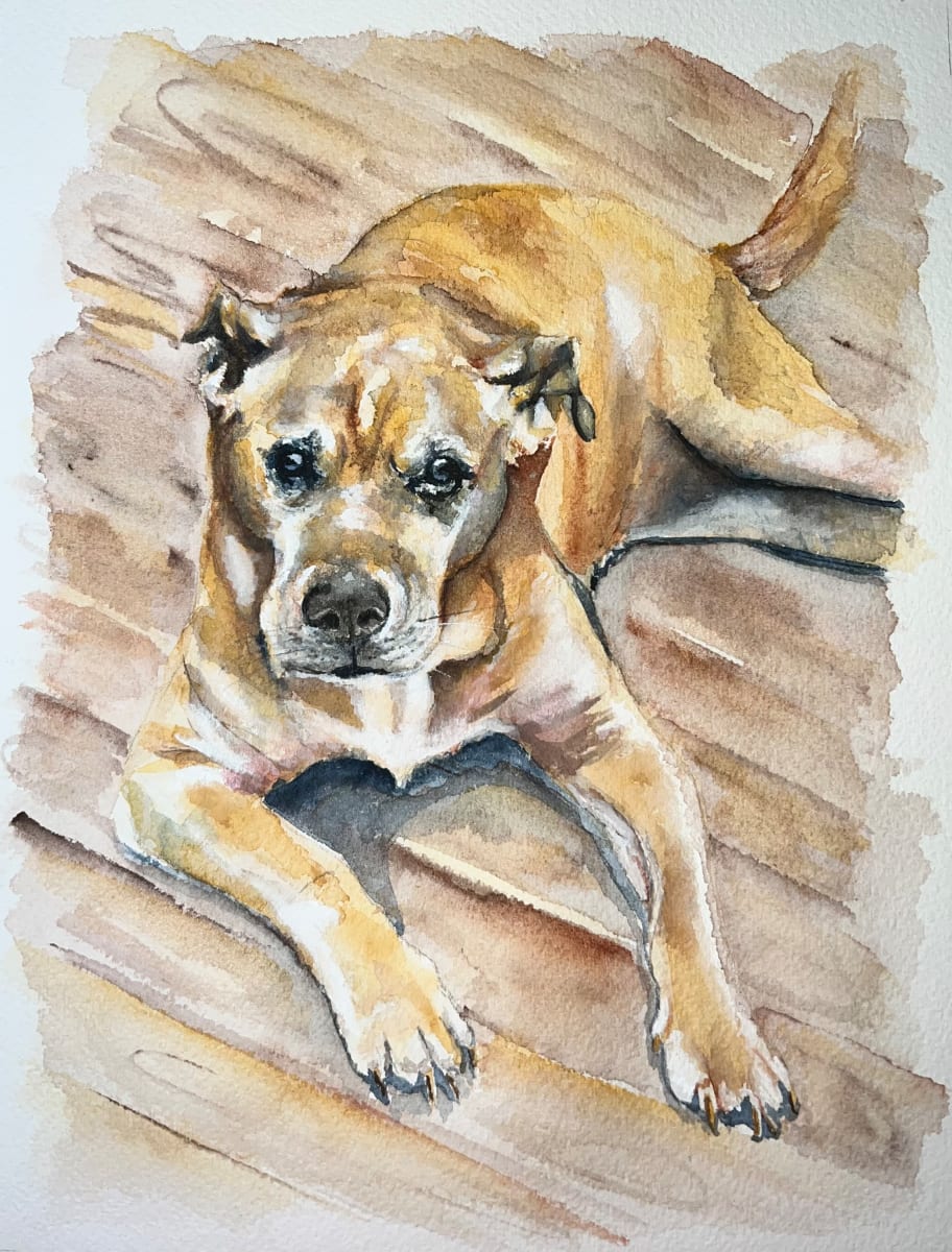 Dustin’s Dog by Amy DeVane 