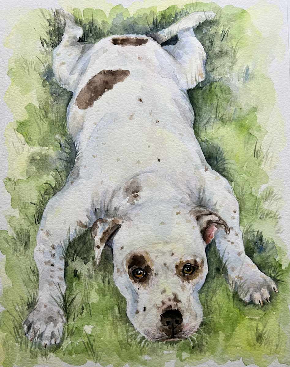 The Happy Dog Sploot by Amy DeVane, Image 2.