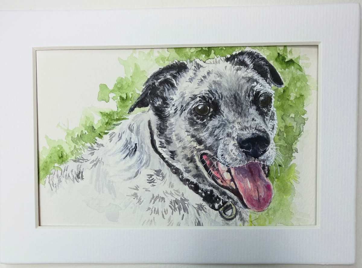 Hubbard Pup 2 by Amy DeVane, Image 1.