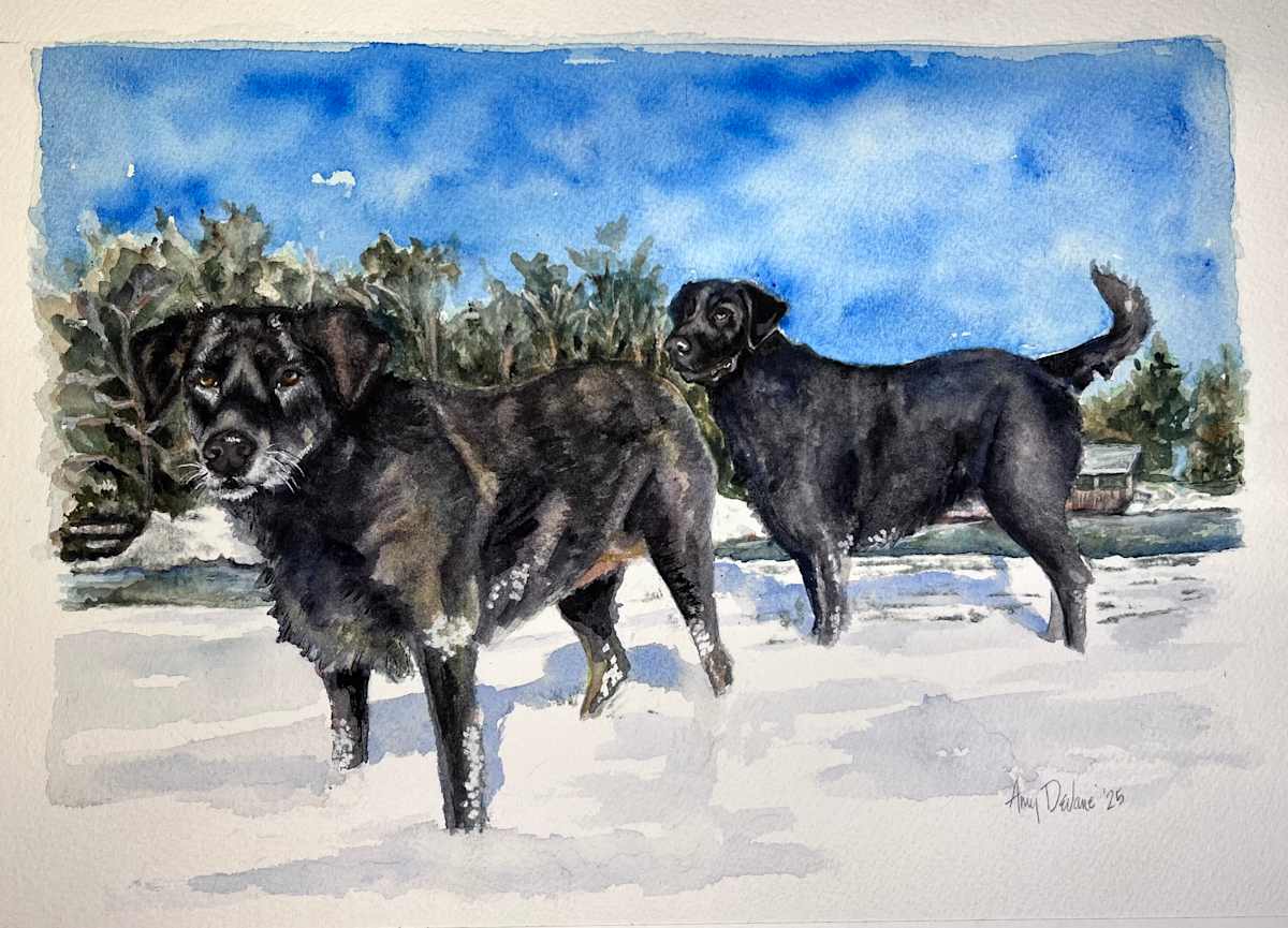 Littlefield Snow Dogs by Amy DeVane, Image 1.