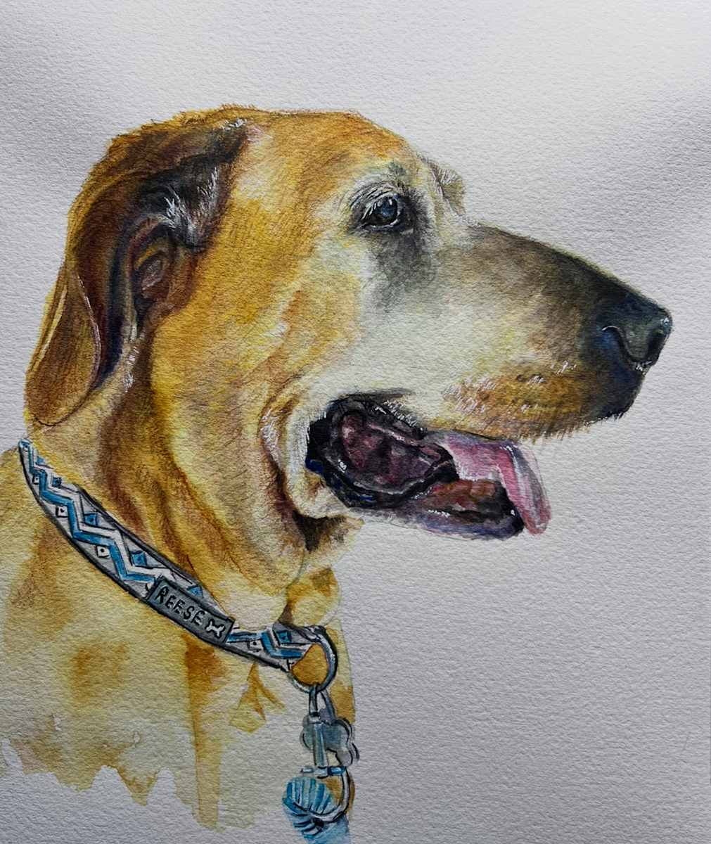 Reese by Amy DeVane 