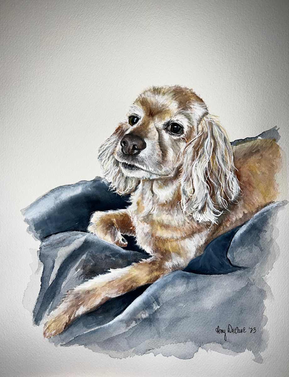 Bama by Amy DeVane, Image 2.