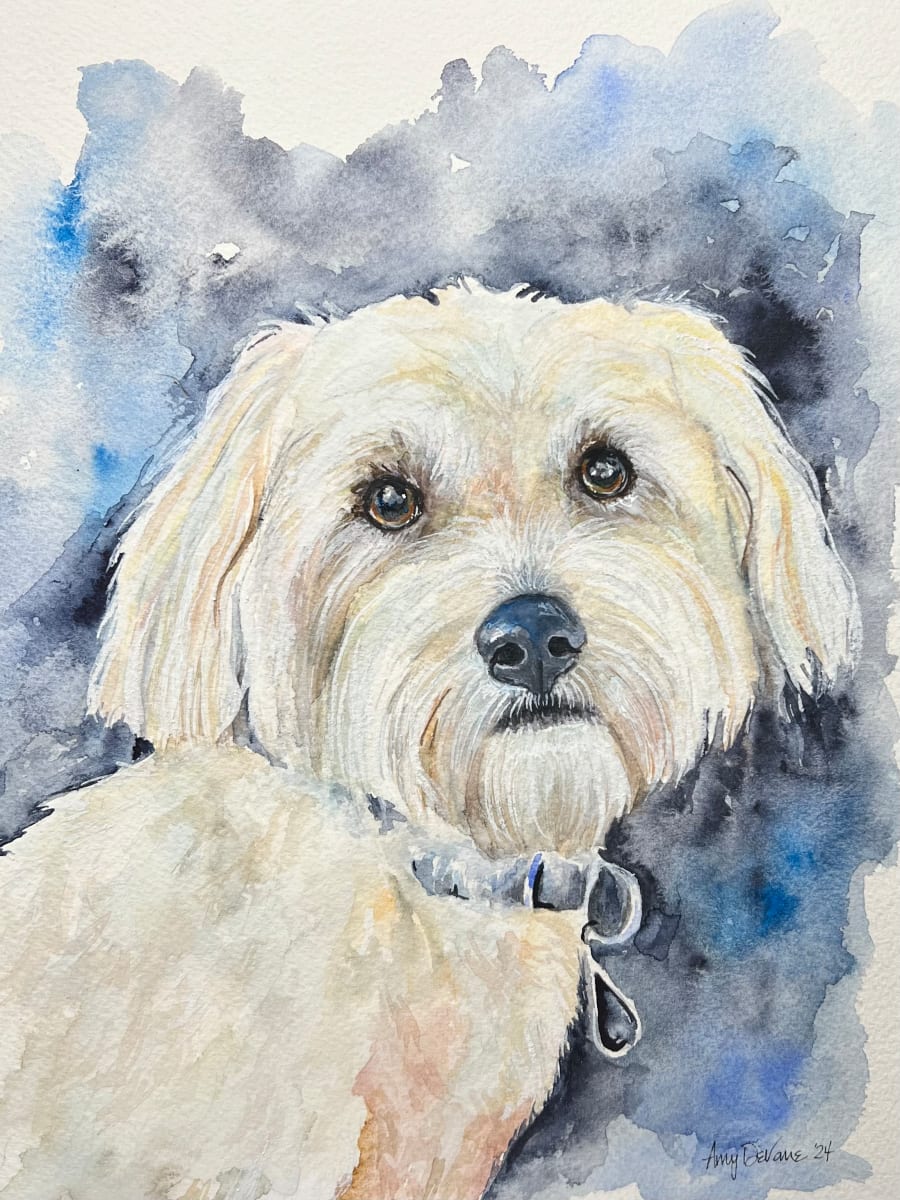 Stelly by Amy DeVane, Image 1.