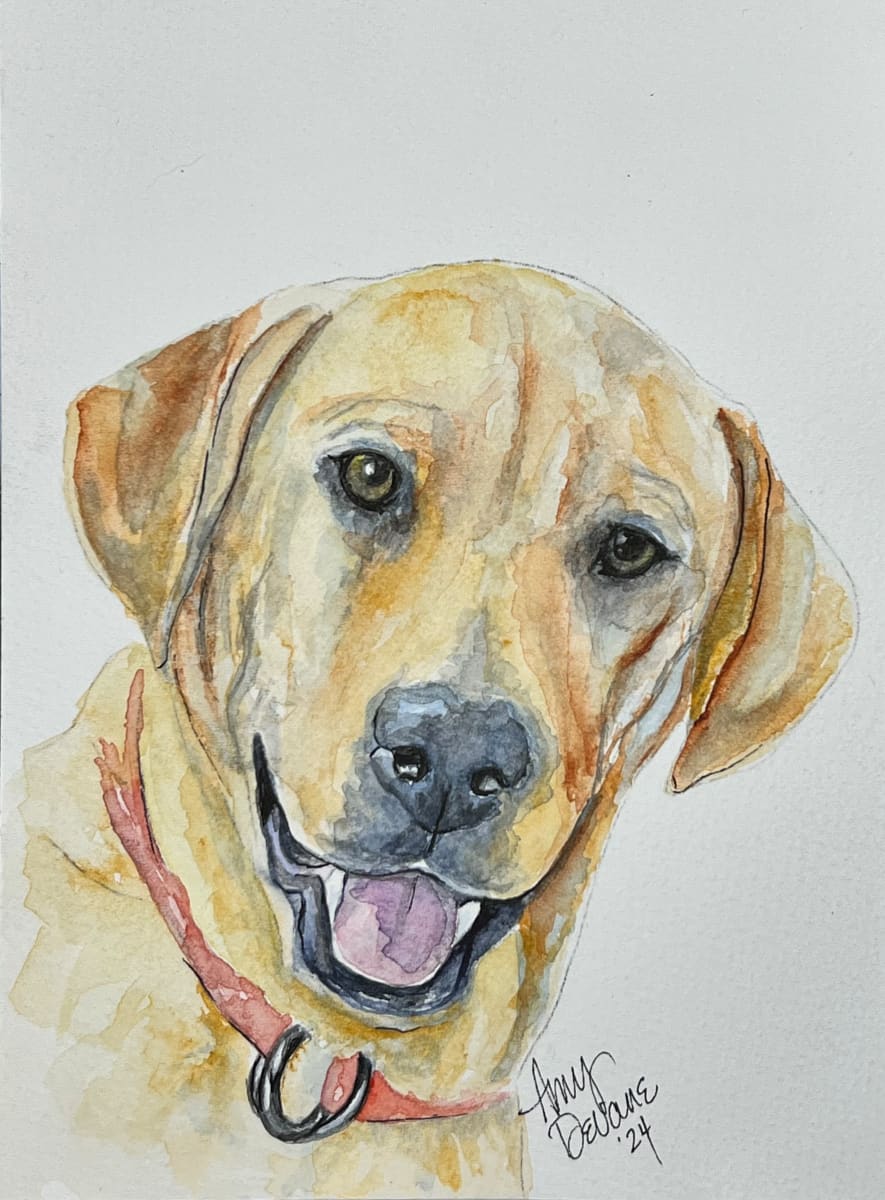 Adopted! by Amy DeVane 