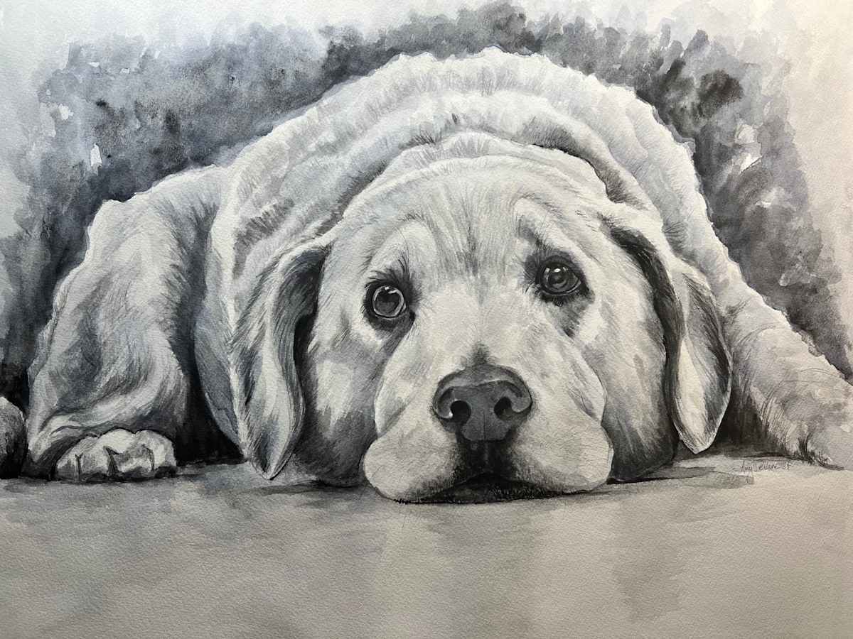 H. Smith Vet’s Office by Amy DeVane 