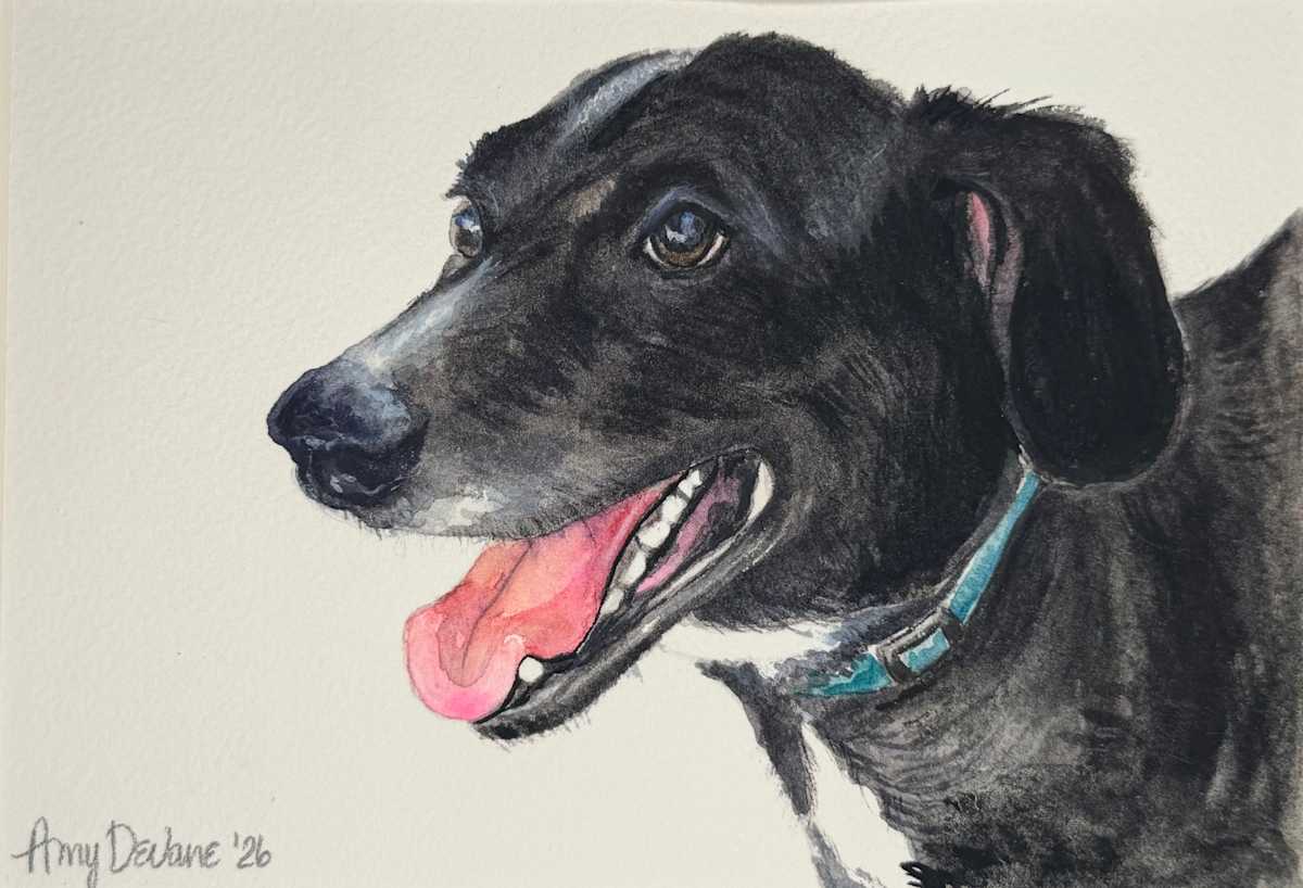 “Scout”-K. Morris by Amy DeVane, Image 1.