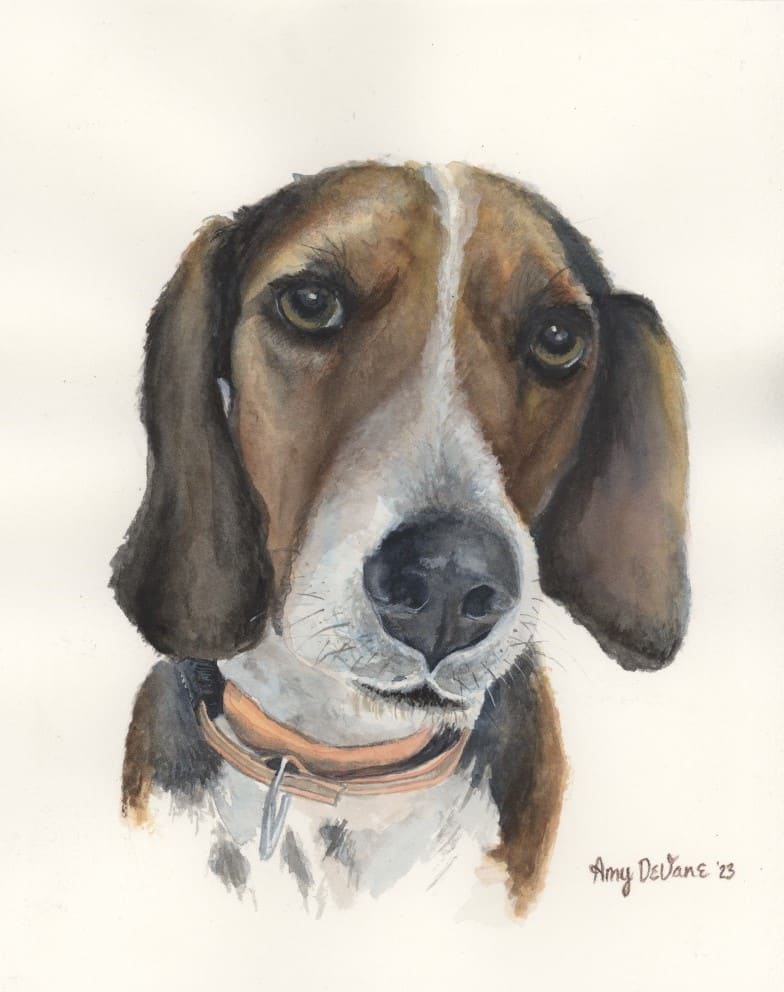 Enfinger Dog by Amy DeVane 
