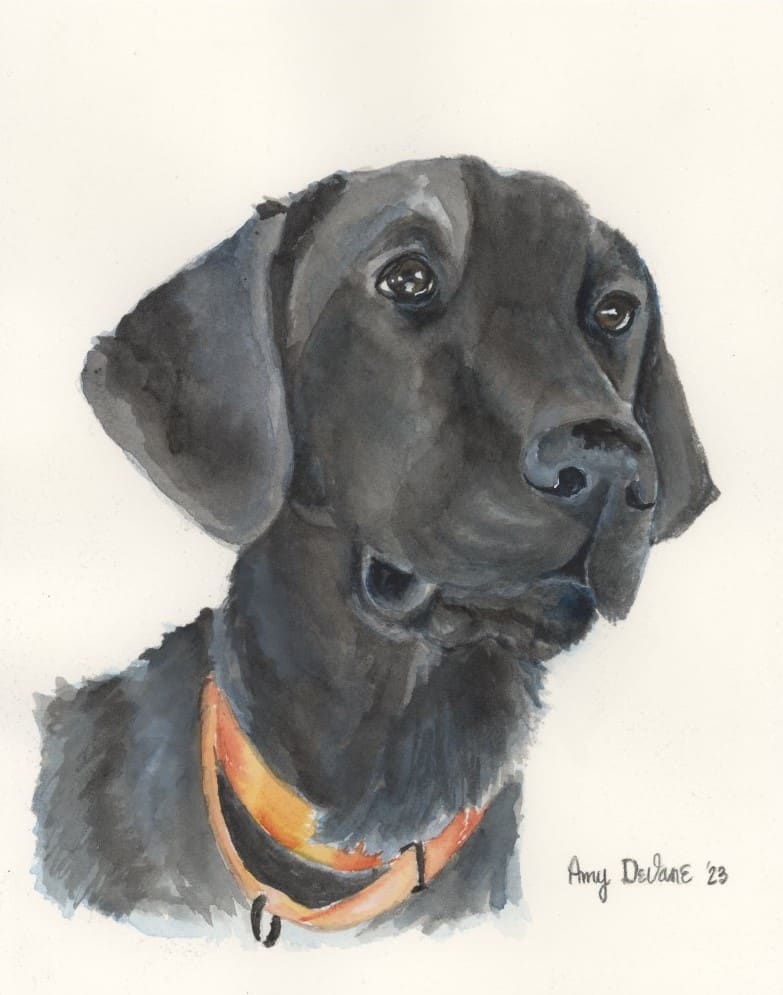 Enfinger Dog 3 by Amy DeVane 