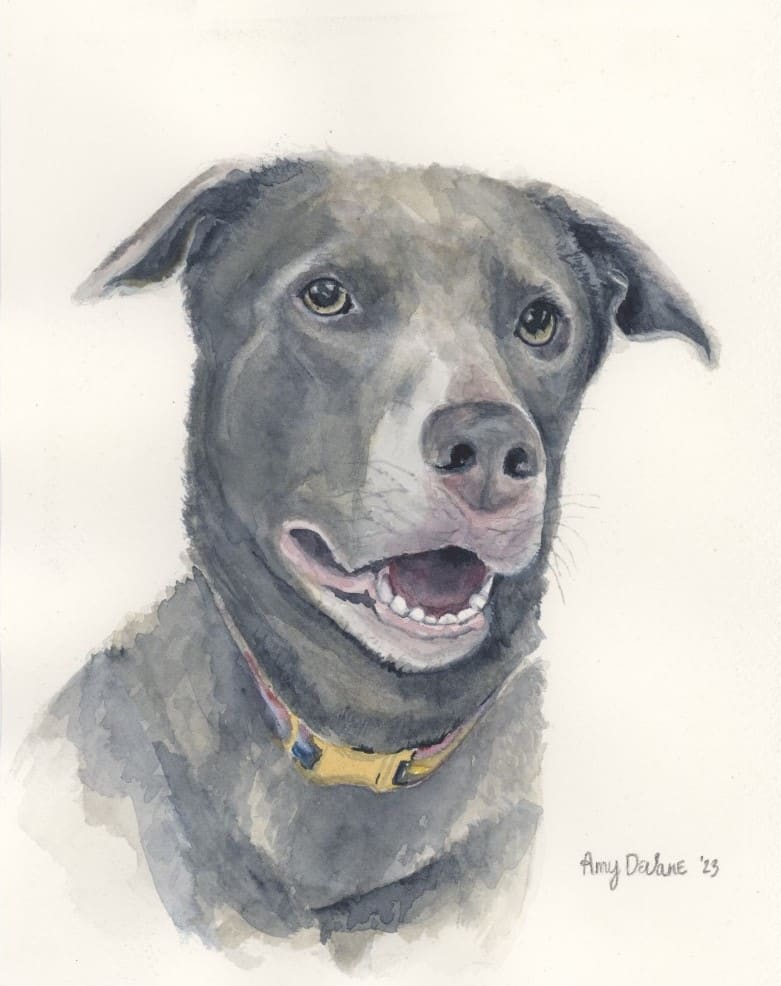 Enfinger Dog 2 by Amy DeVane 