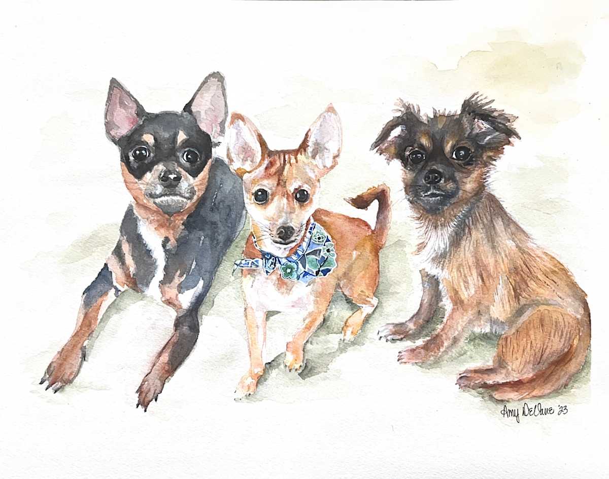 Thompson Dogs by Amy DeVane, Image 1.