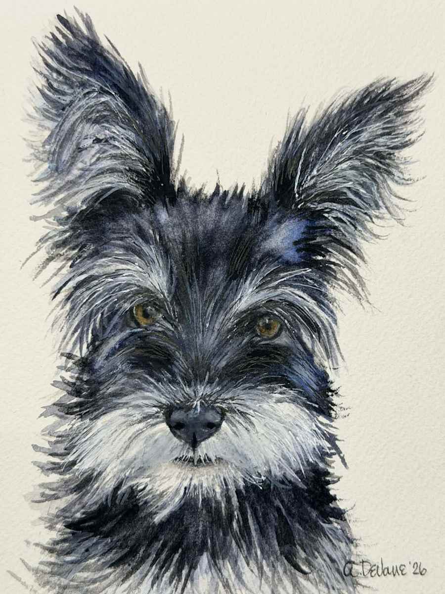 Niday 5x7 by Amy DeVane, Image 1.