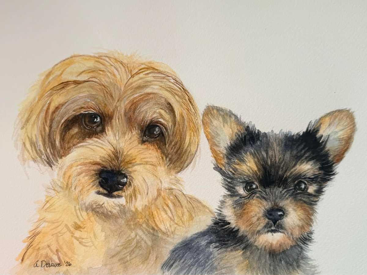 Niday 8x10 by Amy DeVane, Image 1.