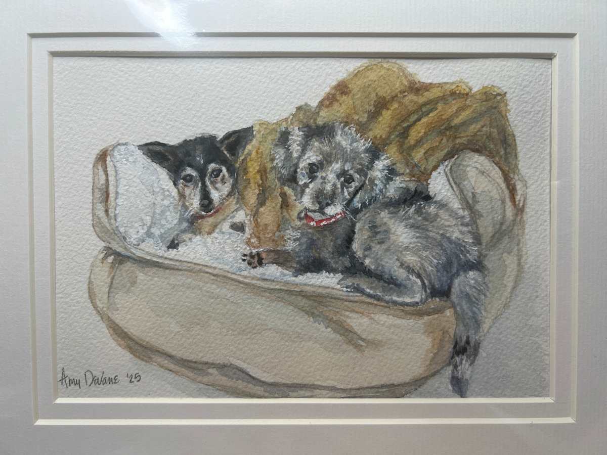 B Tucker by Amy DeVane, Image 1.