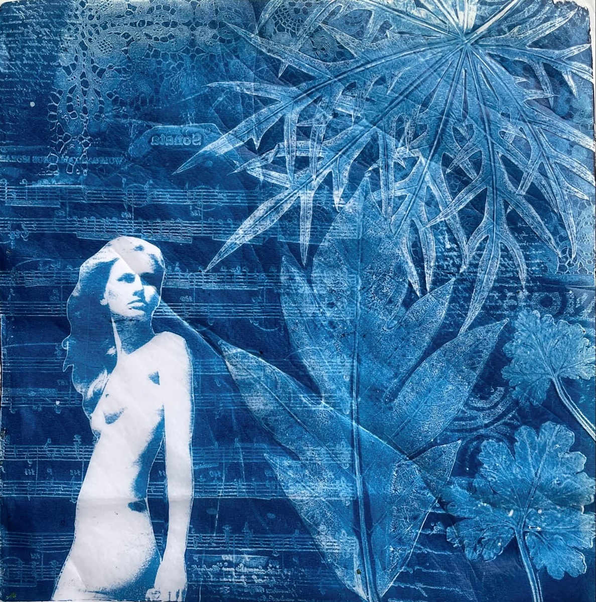 Naked Truth with Ulu Leaf by Kathleen Abood, Image 1.