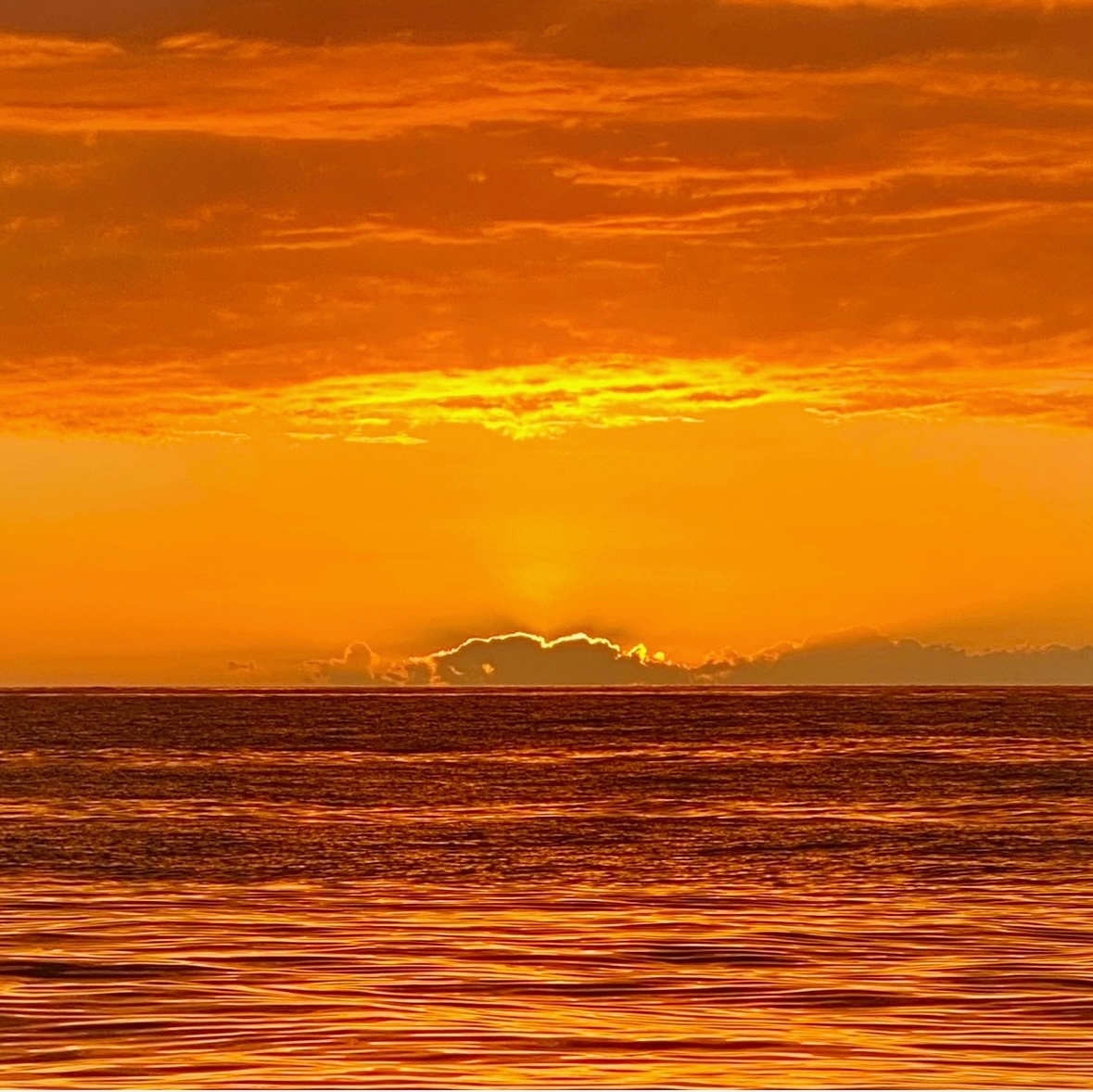 Ocean Sunset by Joanna Lipari 