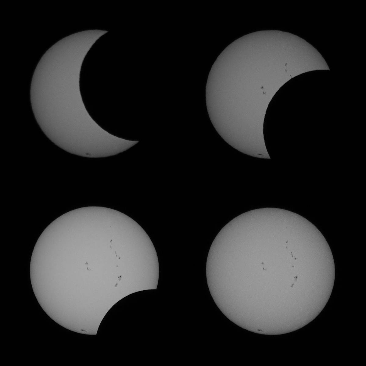 The Sun and The Moon (2 Oct. 2024) by Barbara Schaefer, Image 1.