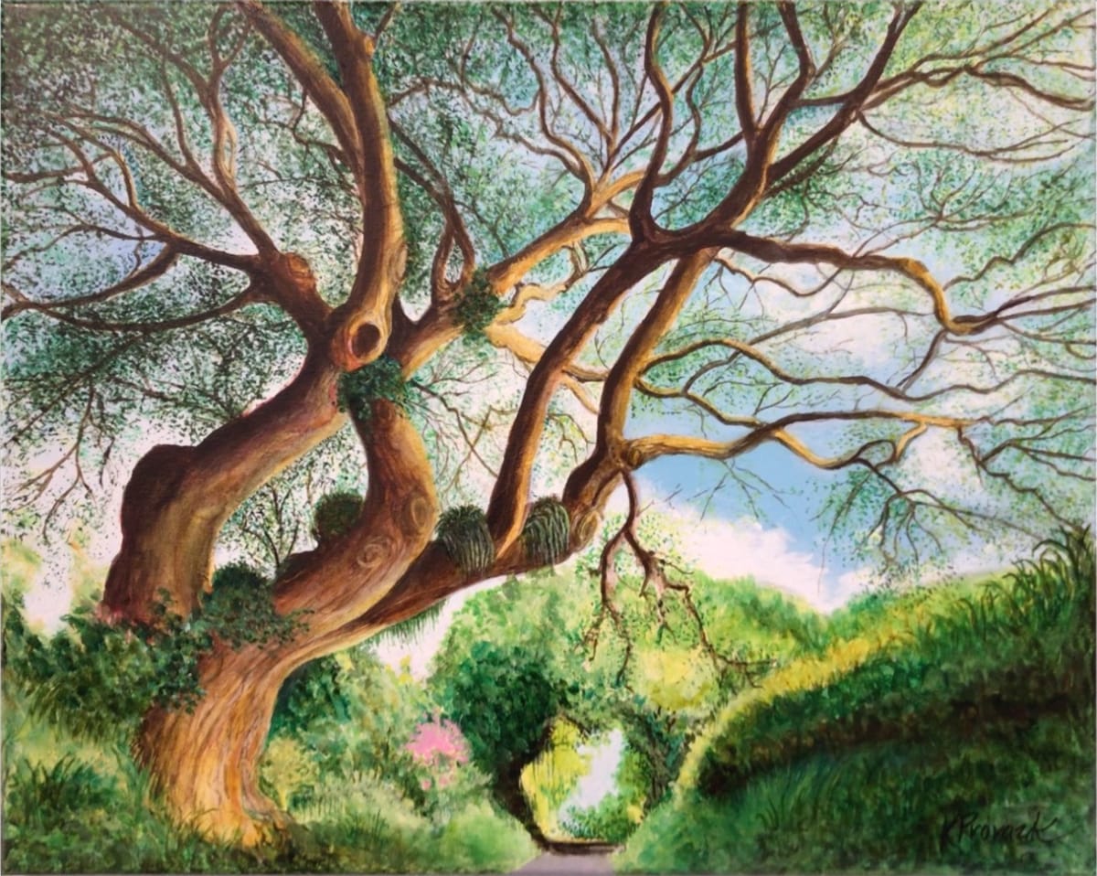 Kohala Backroad by Kathleen Provazek 