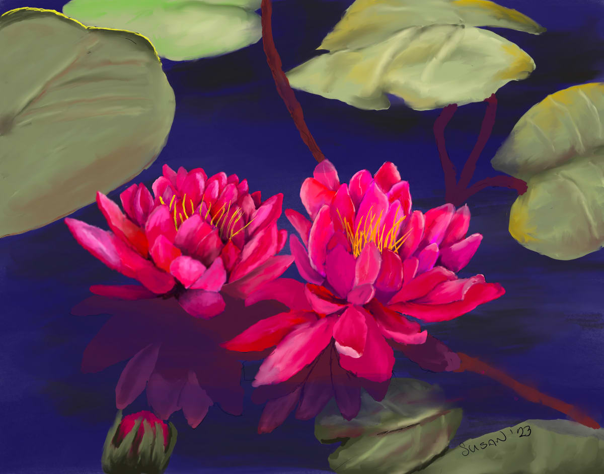 Water Lilies by Susan Reich  Image: Water Lilies