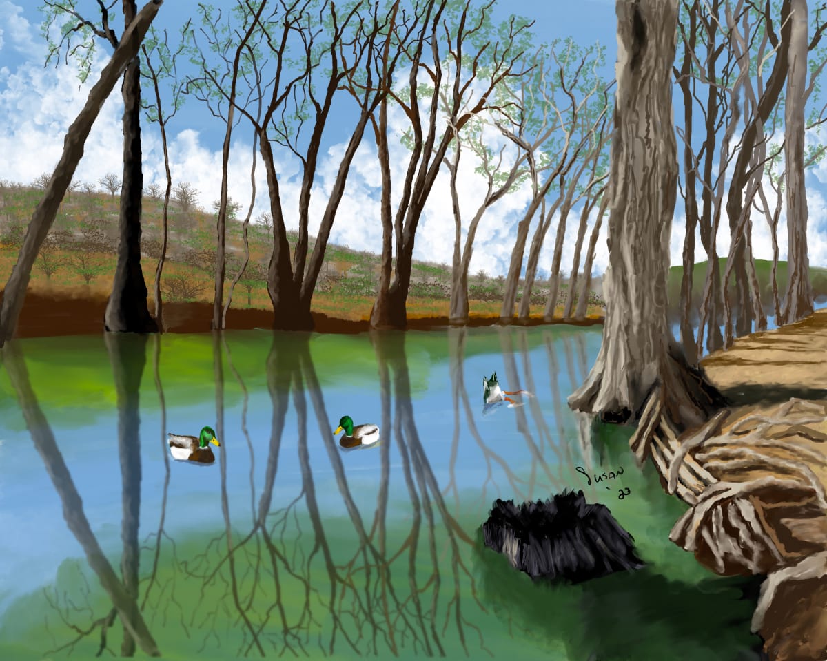 Medina River 2 by Susan Reich  Image: Medina River 2