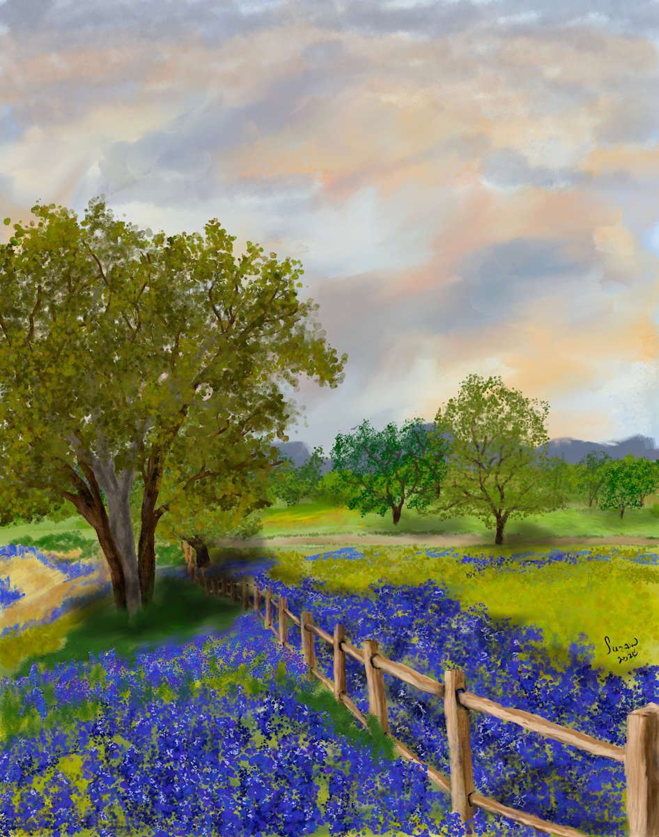 Bluebonnet Fence by Susan Reich, Image 3.