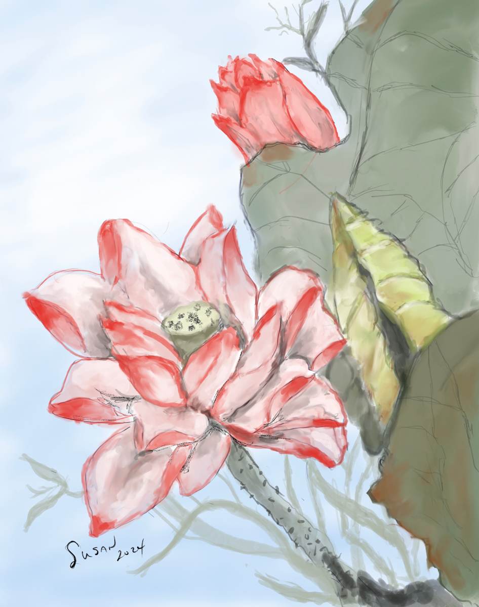 Lotus Blossom by Susan Reich, Image 3.