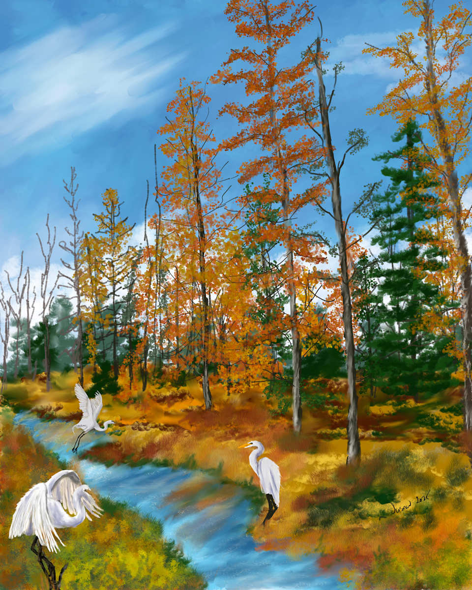 Heron Marsh by Susan Reich, Image 5.