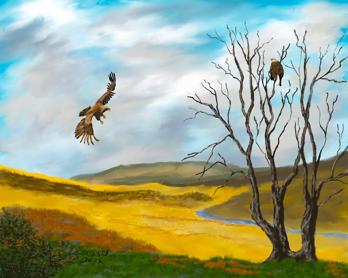 Eagles Roost by Susan Reich 