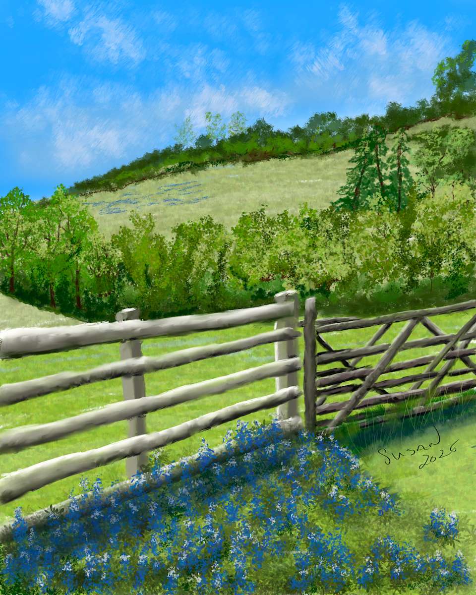 Jacqui’s Meadow by Susan Reich, Image 9.