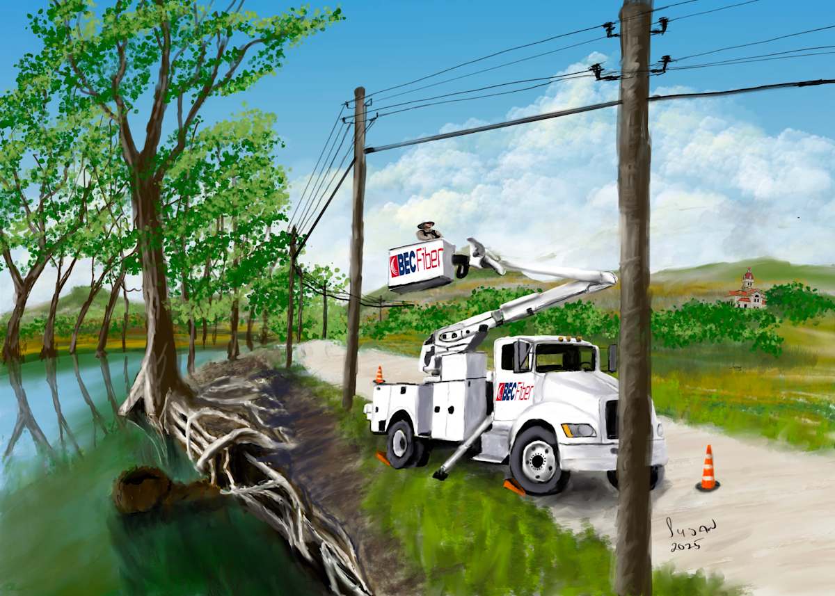 BEC FIBER by Susan Reich, Image 5.