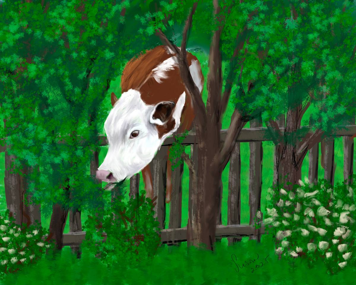 I Can Reach It by Susan Reich  Image: I Can Reach It