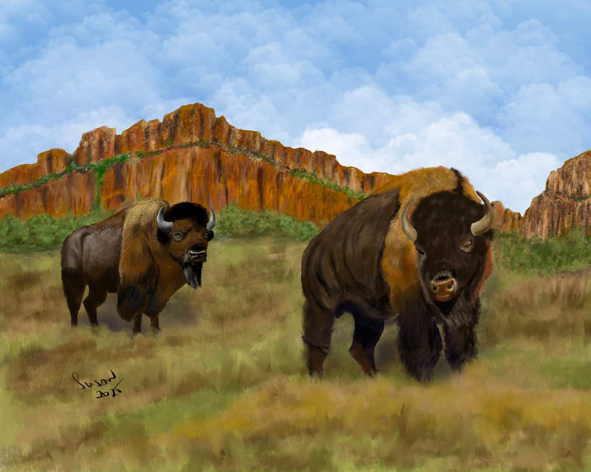 Roaming the Range by Susan Reich  Image: Roaming the Range