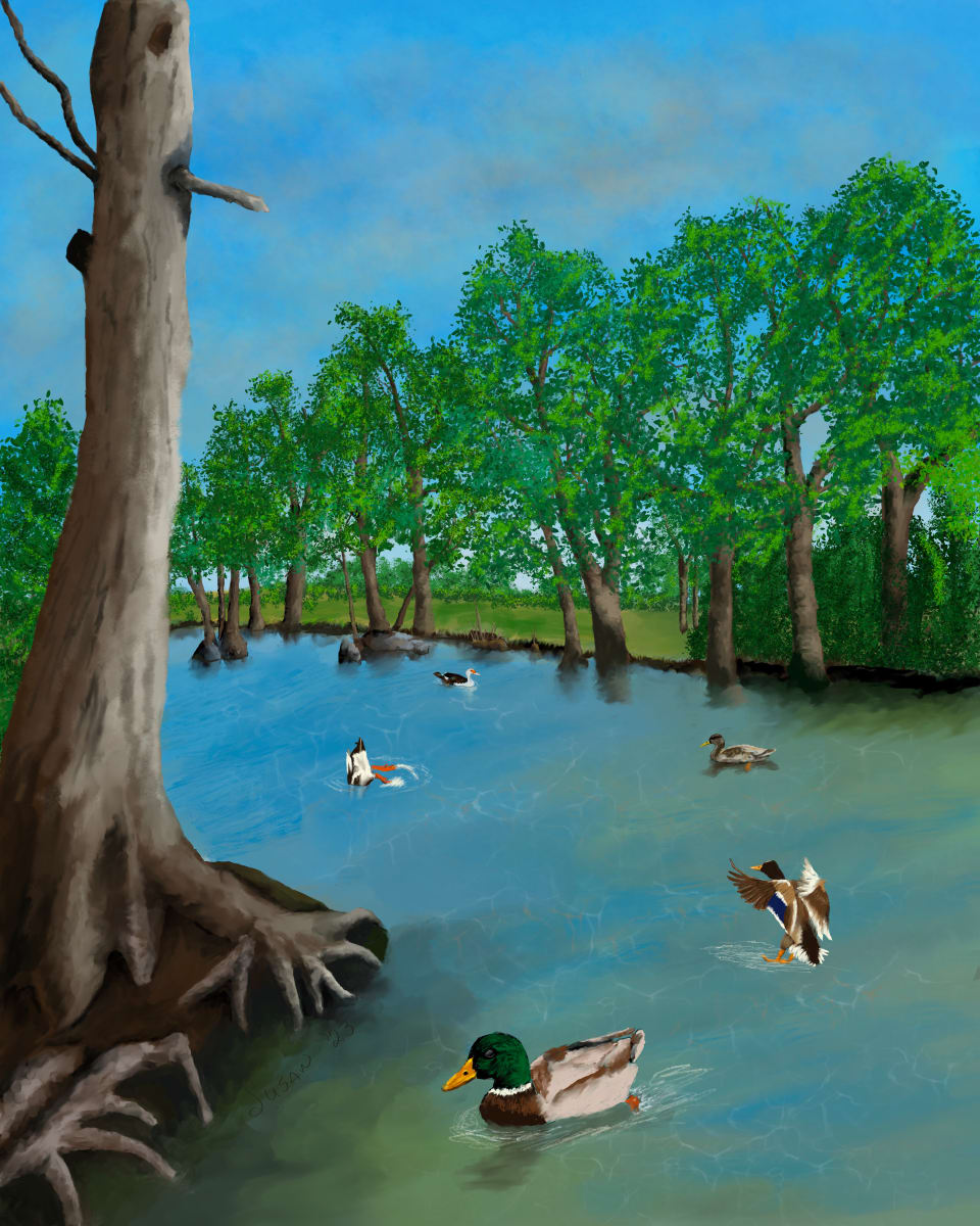 Medina River by Paintings by Susan 