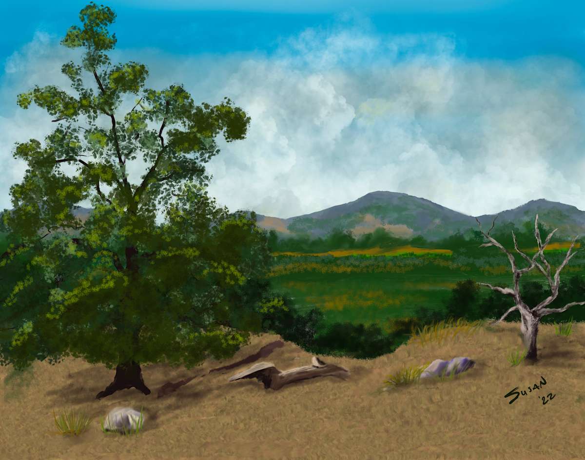 Over Looking the Valley by Susan Reich, Image 10.