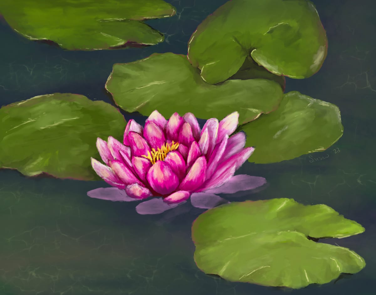 Pink Waterlilies by Susan Reich 