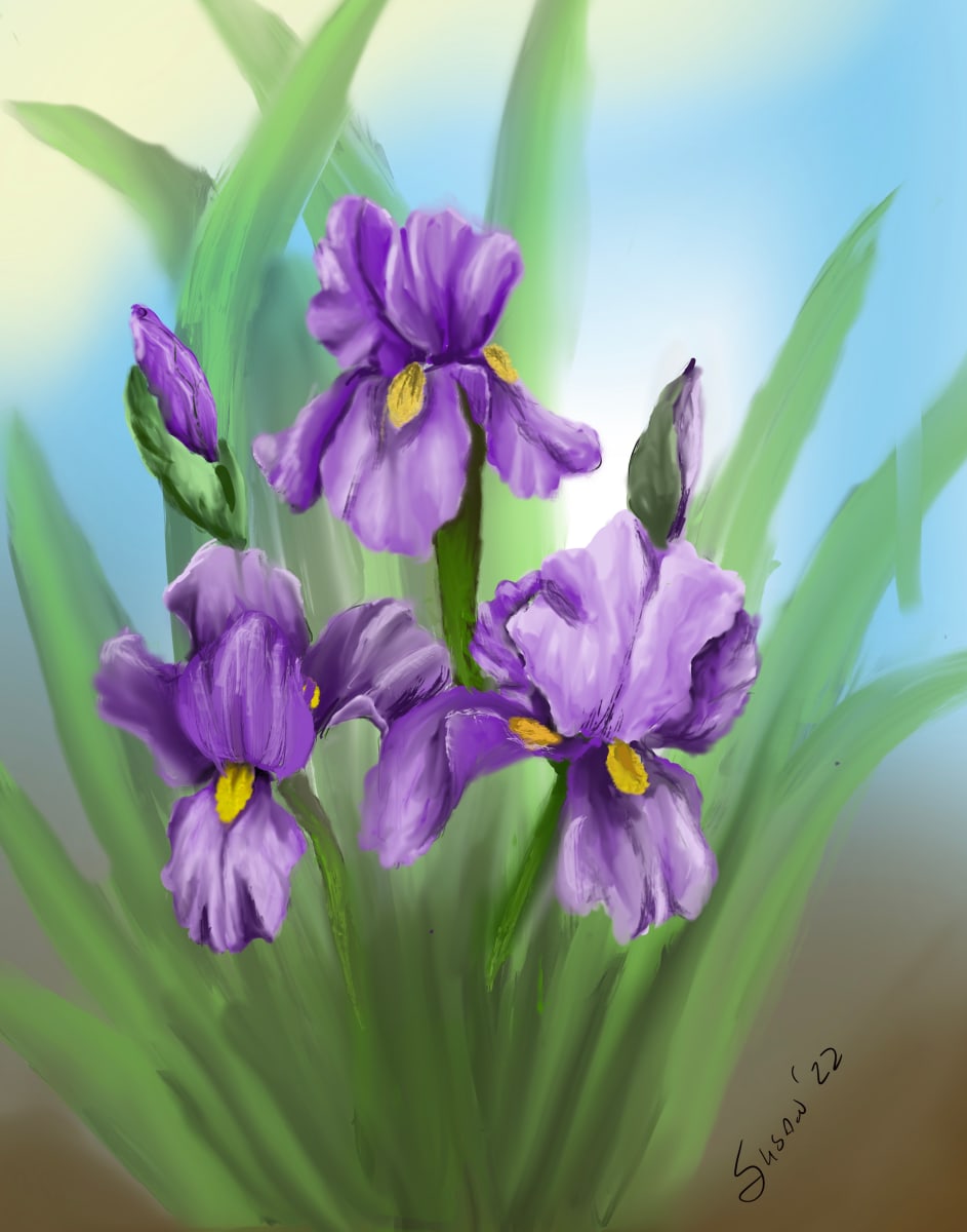Purple Iris by Paintings by Susan 
