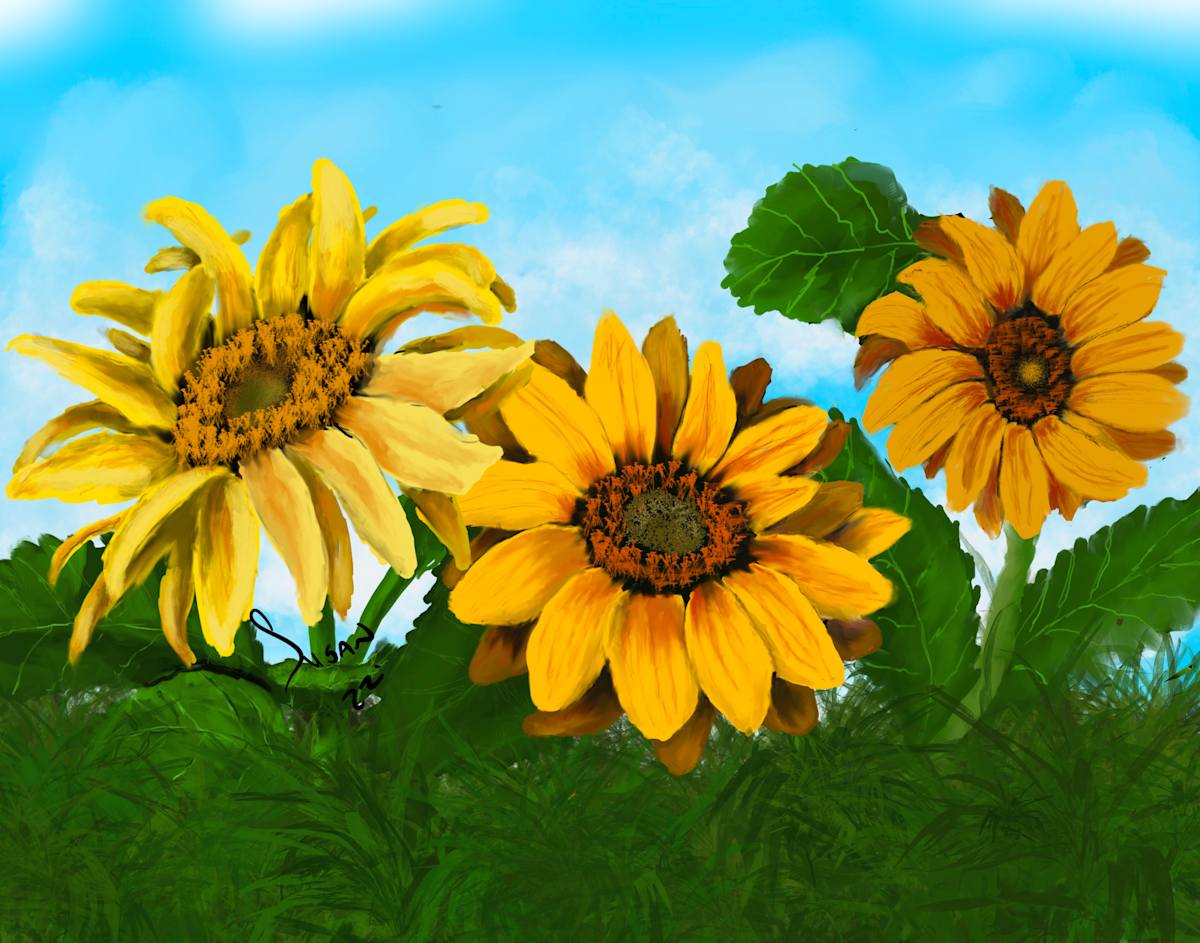 Sunflowers by Susan Reich, Image 2.