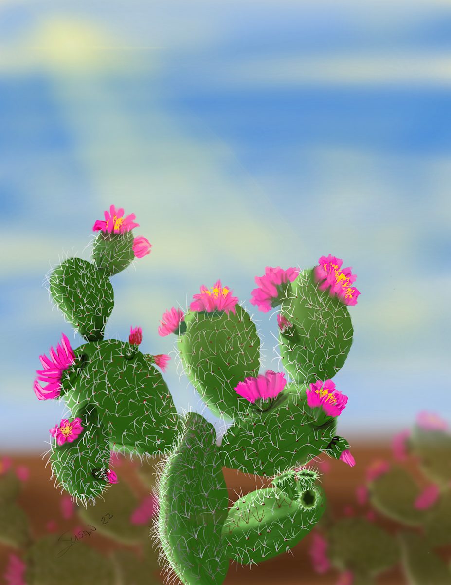 Sunny Cactus by Susan Reich, Image 1.