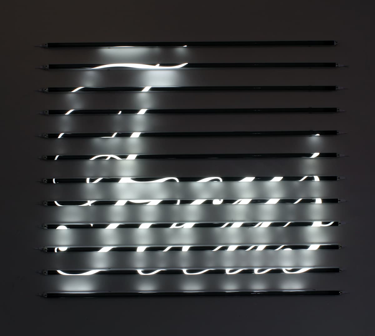 Focus by James Clar, Image 2.