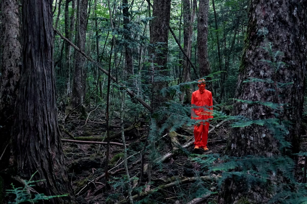 Aokigahara / The Sea of Trees by James Clar 