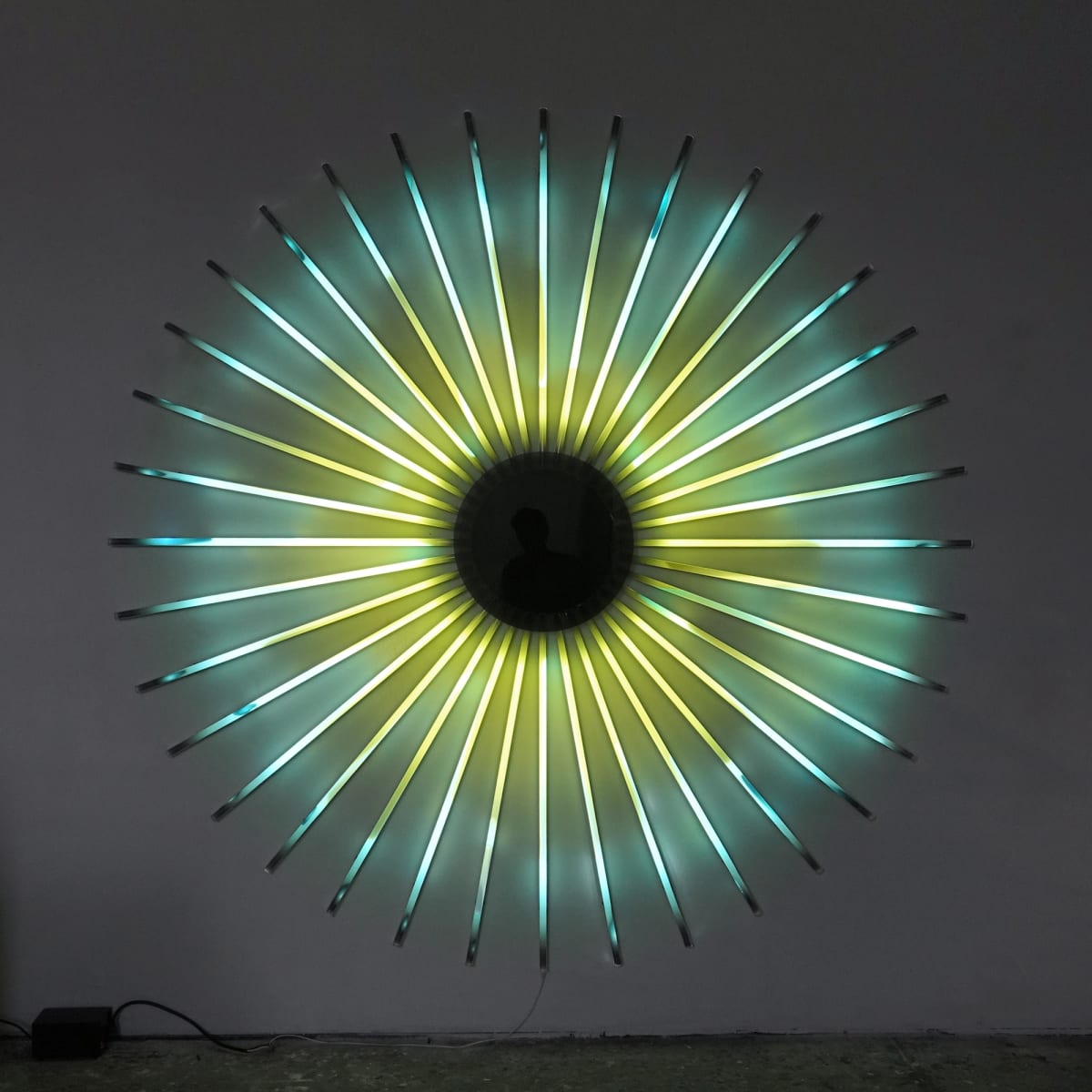 Paula's Iris by James Clar, Image 1.