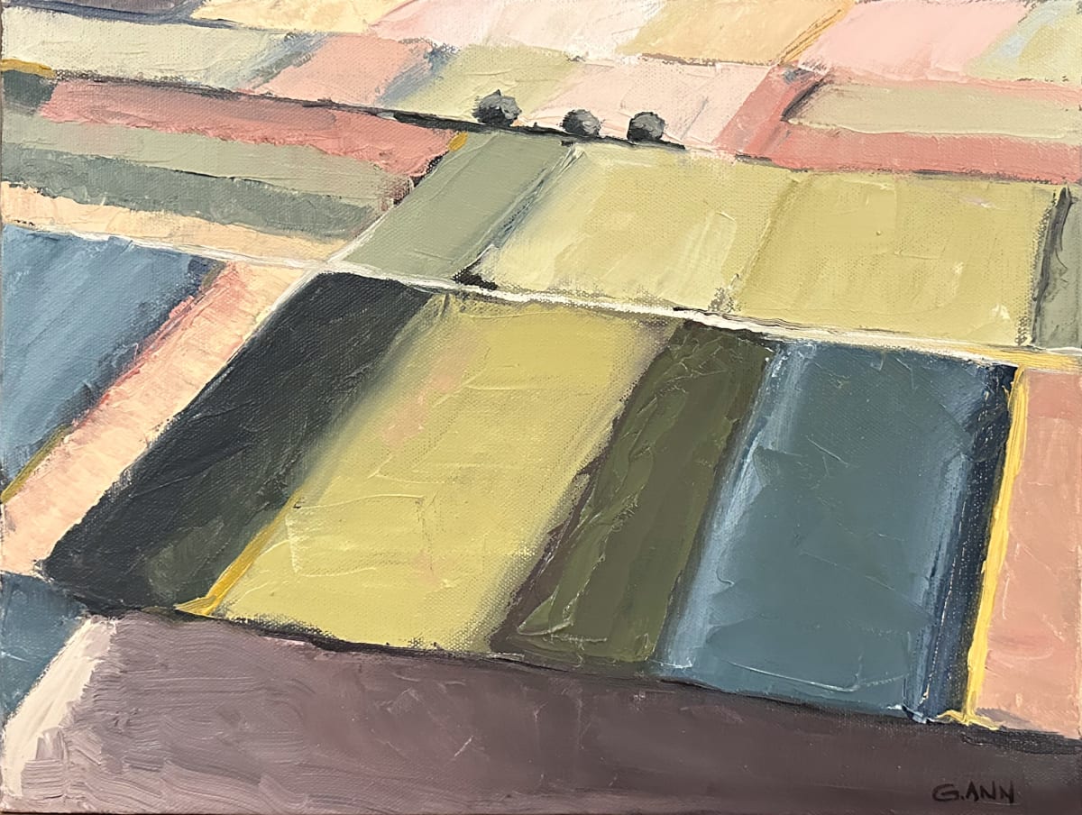 Field by Gretchen Bidic  Image: abstract field