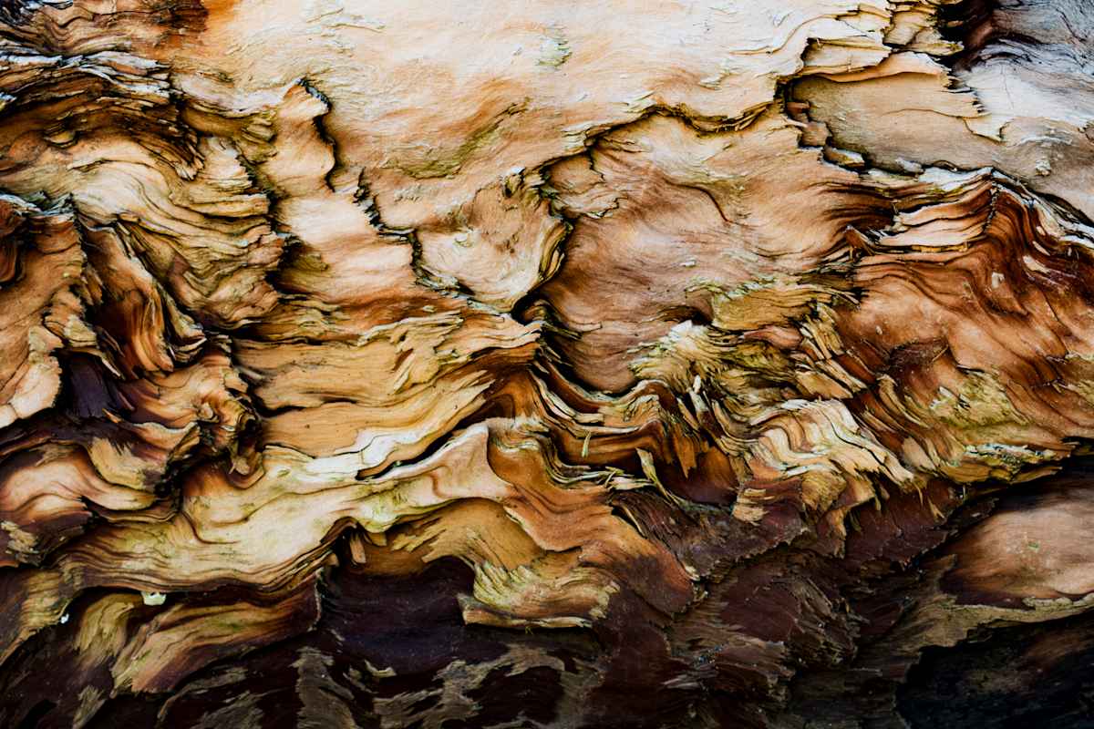 Odyssey 1 by Kristina L Jager  Image: Odyssey 1 is the first piece in the Odyssey Series.